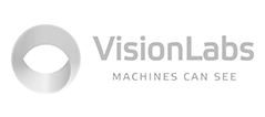 visionlabs